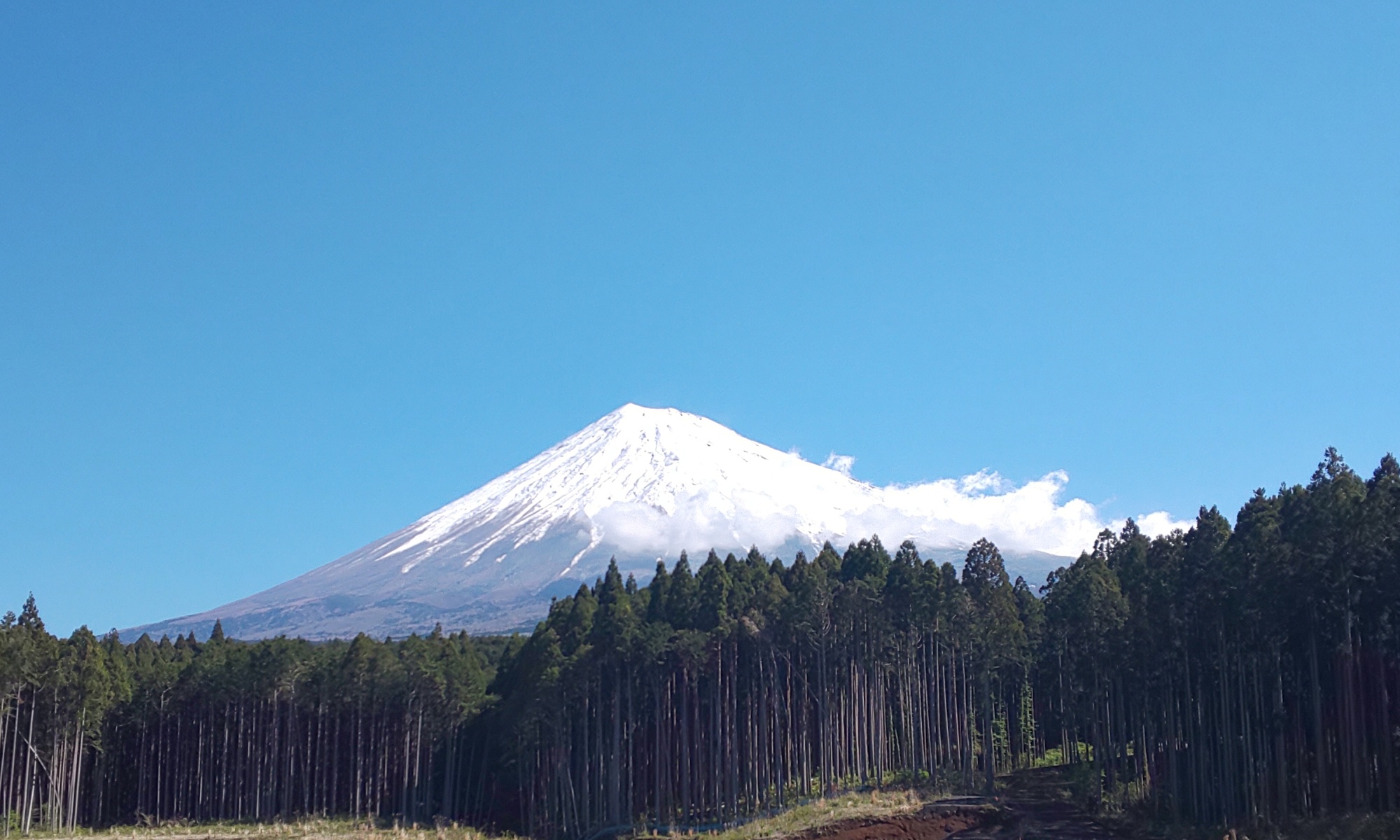 富士山麓オリエンテーリング大会